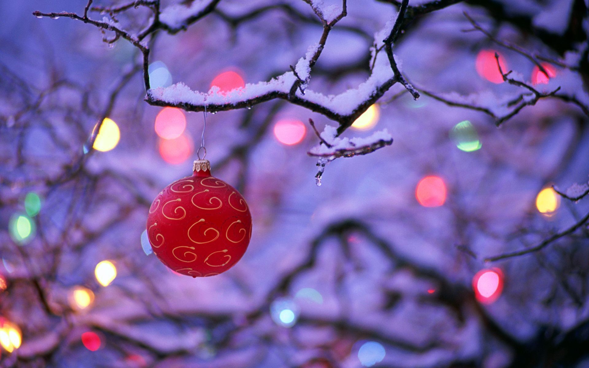A red Christmas ornament hangs from a snow-dusted tree branch, illuminated by colorful bokeh lights in the background