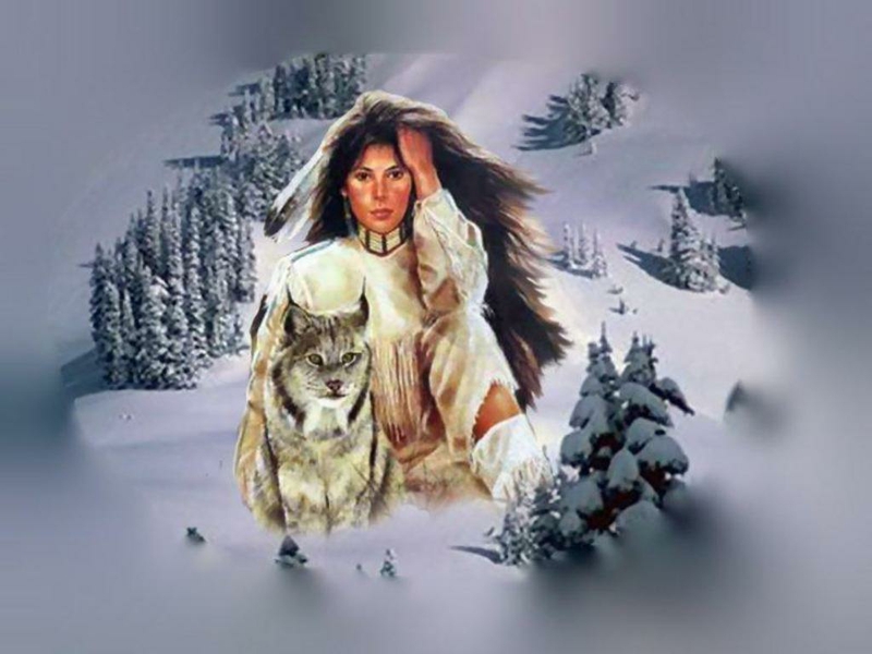 Brush Feather Native American Woman And Wolf Abstract Fantasy HD