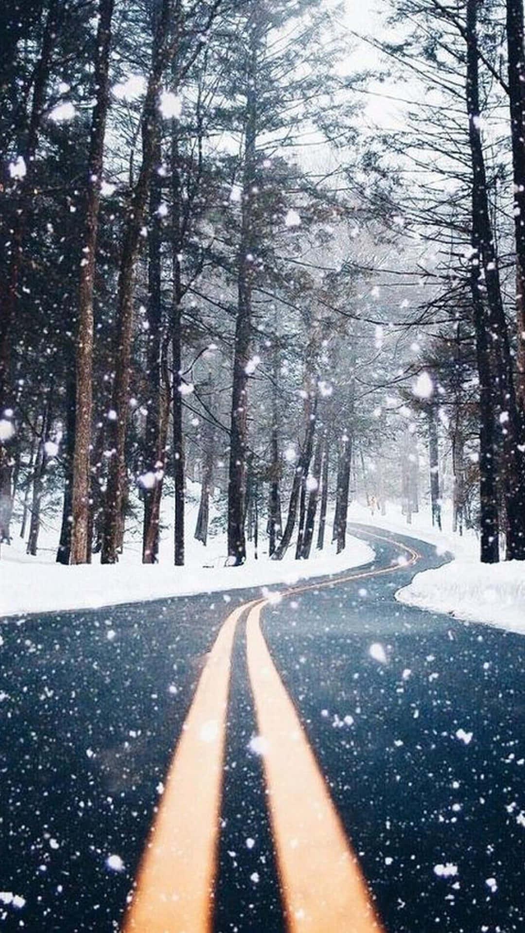 A Road In The Snow With Trees Background Wallpaper