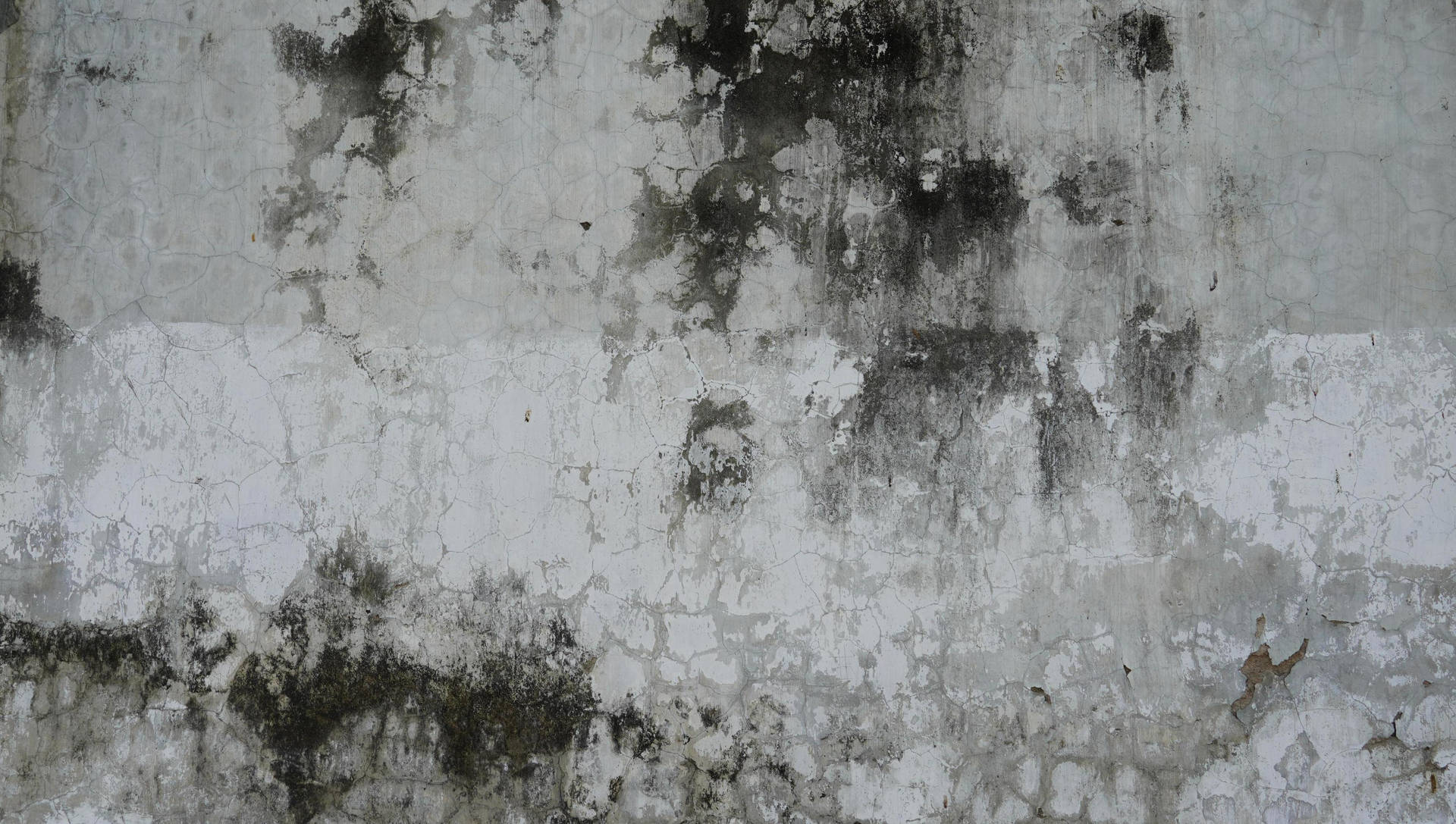 Wall Texture Wallpaper