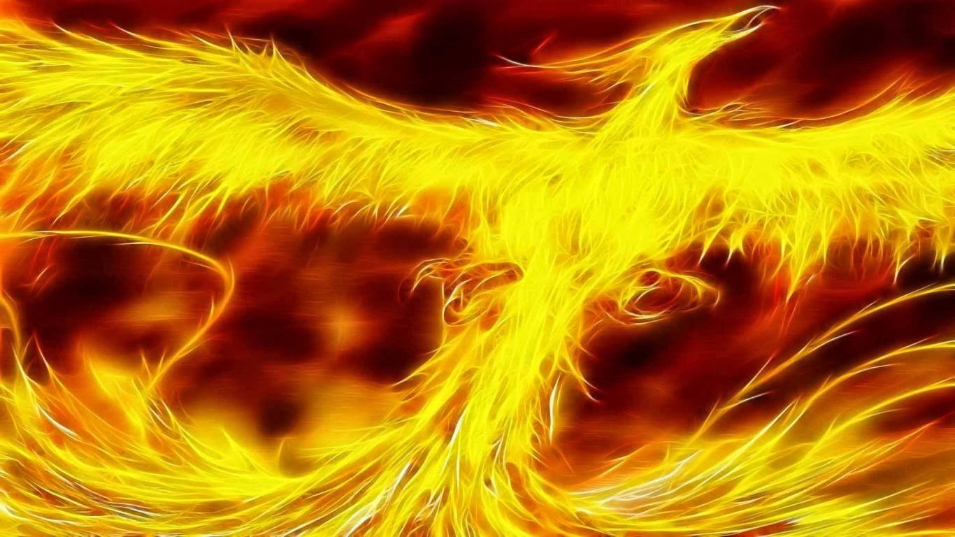 Cool Phoenix Bird Wallpaper