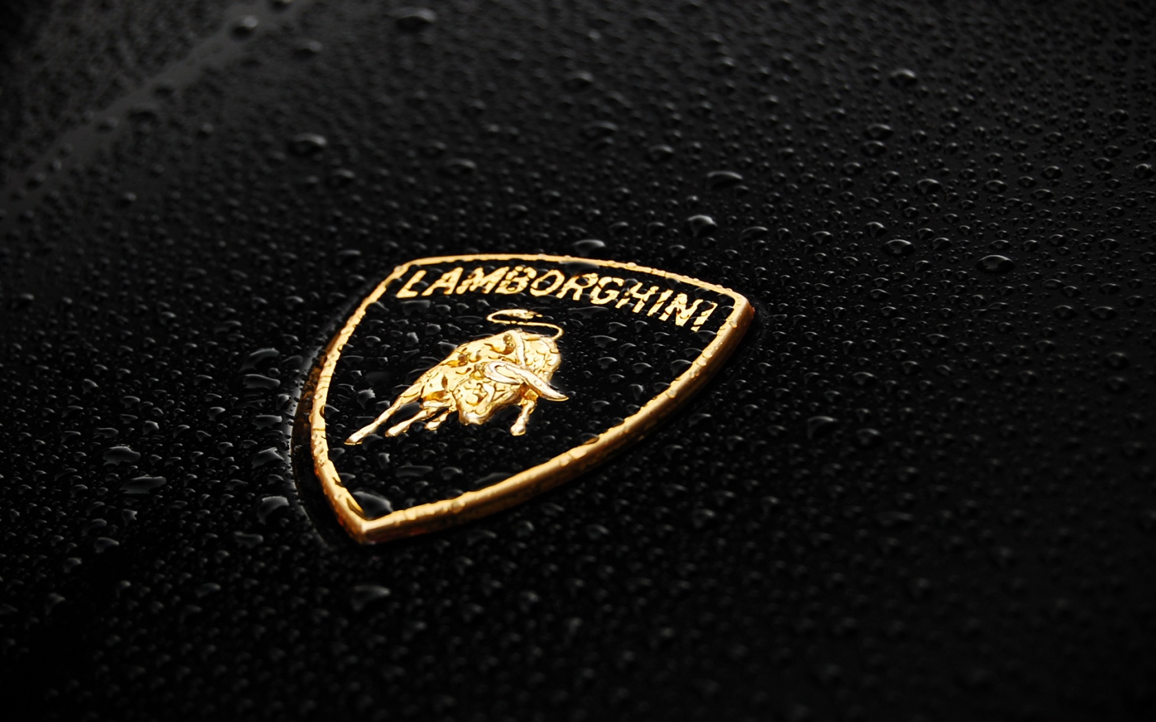 Lamborghini Logo Wallpaper HD Car