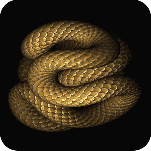 Snake 3d Live Wallpaper Amazon Appstore App Ranking And Store