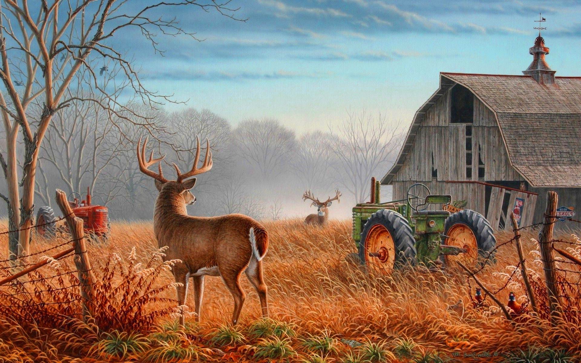 🔥 Free download Deer Hunting Wallpaper HD KoLPaPer Awesome Free HD