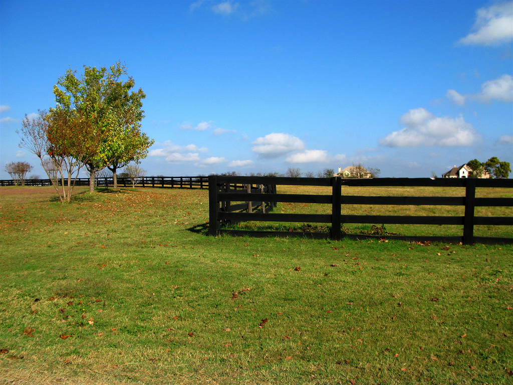 Texas Ranch With Winding Fence Under Blue Sky A Photo On Iver