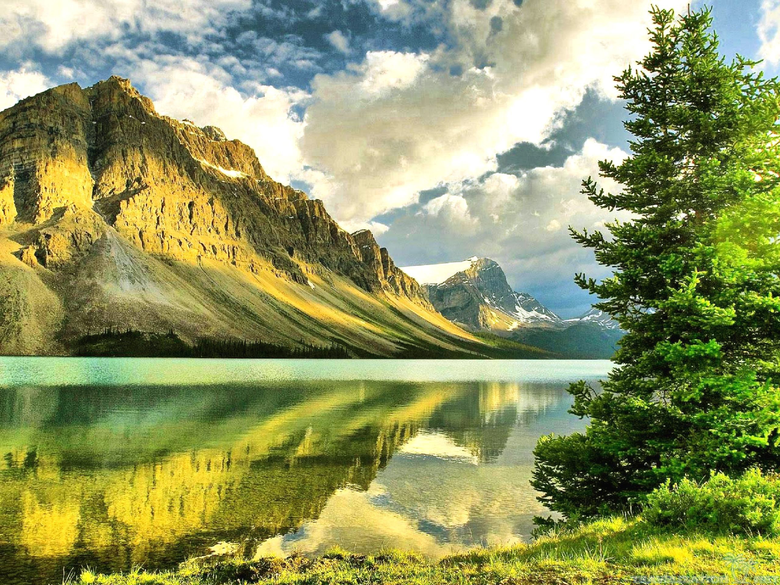 Scenic view of a pristine lake reflecting majestic mountains and a lush green pine tree in the foreground, ideal for an HD wallpaper