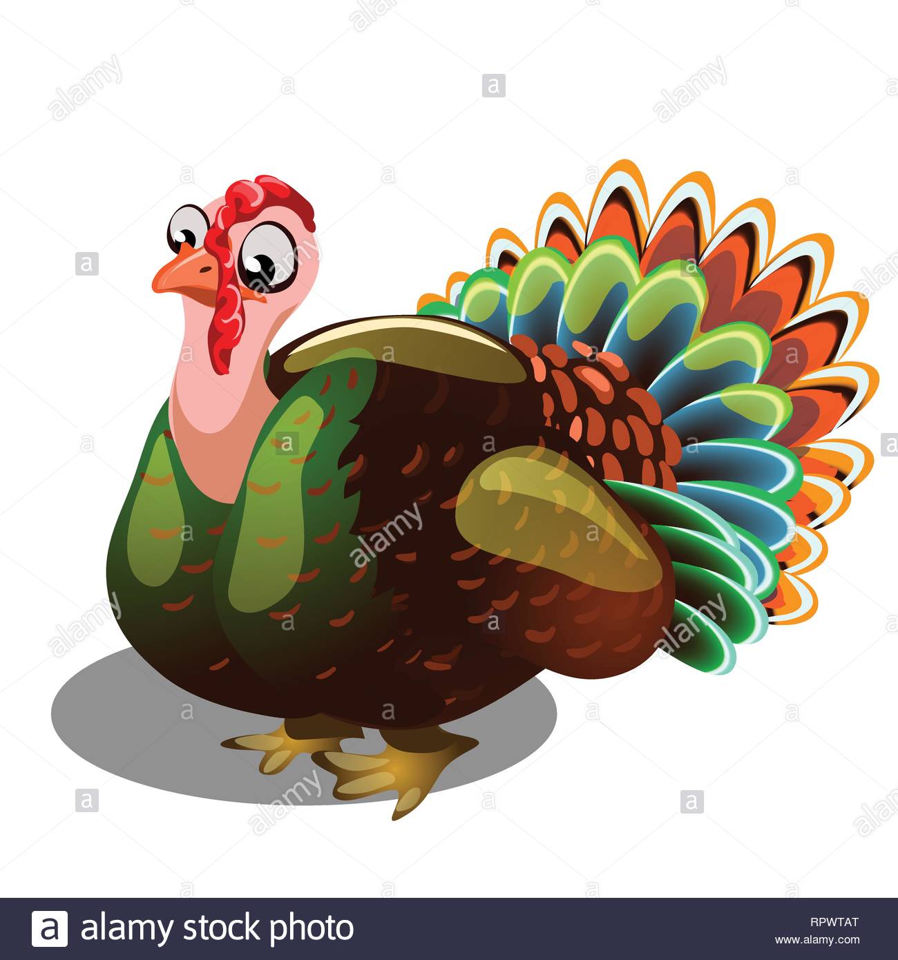 Fat Gobbler Isolated On White Background Vector Cartoon Close Up