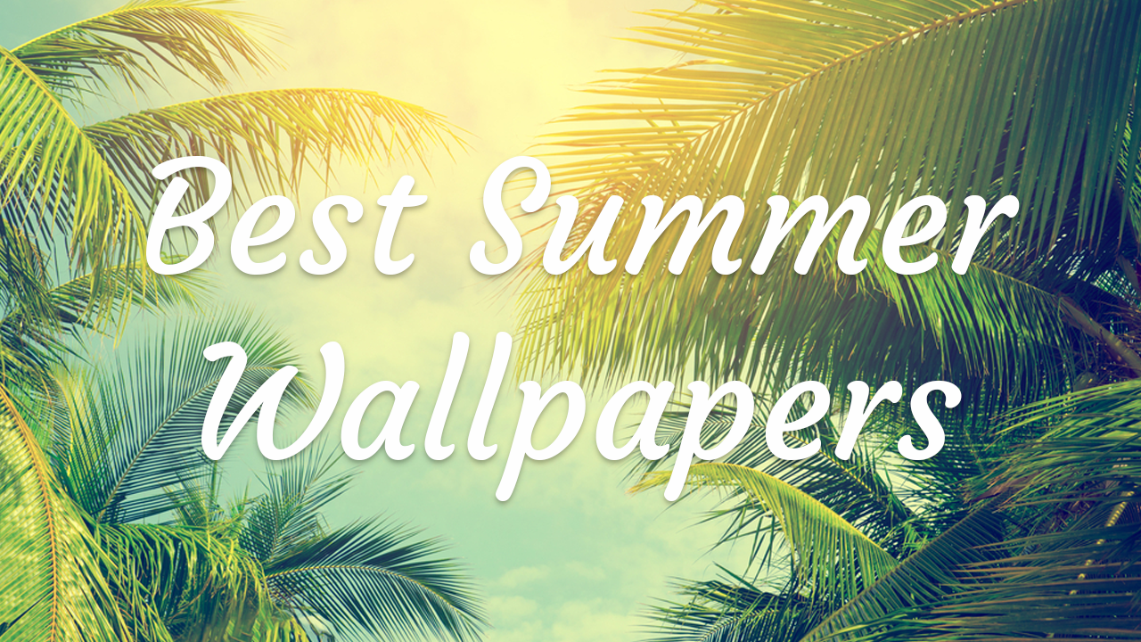Best Summer Wallpaper Collection Savedelete