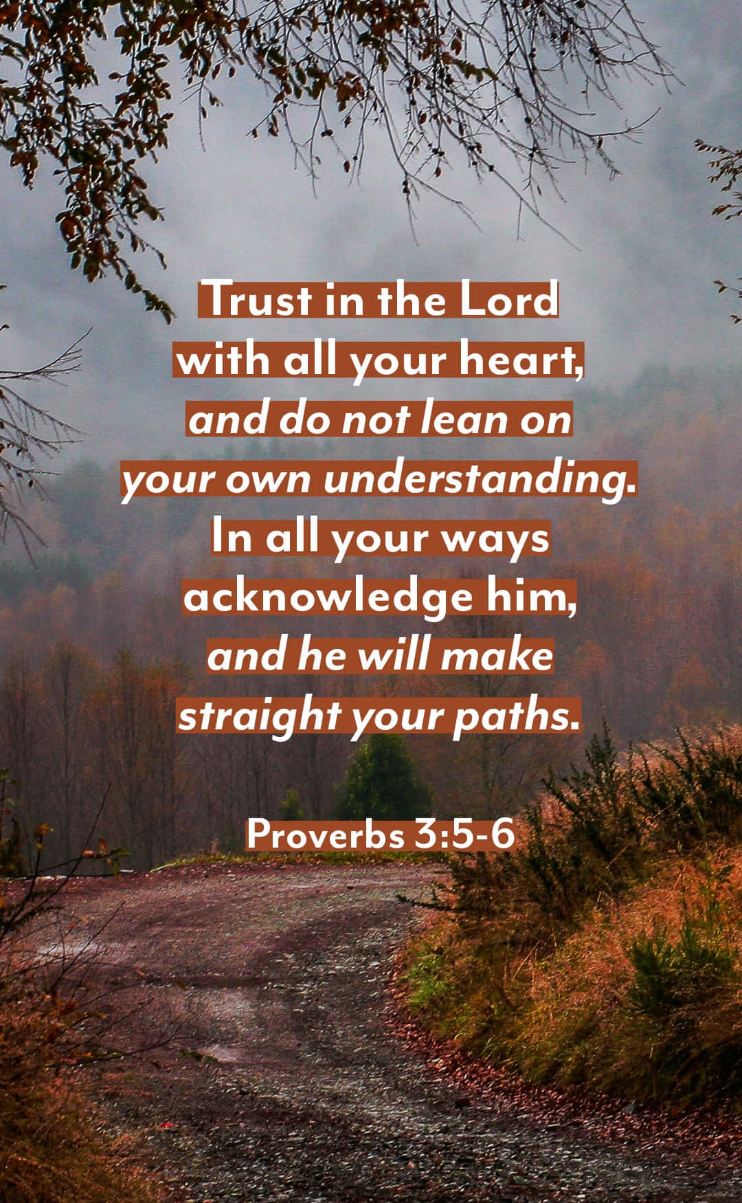 Bible Verse Phone Wallpaper