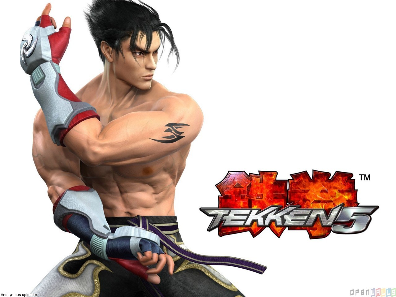 Jin Kazama Tekken Physique Bodybuilding