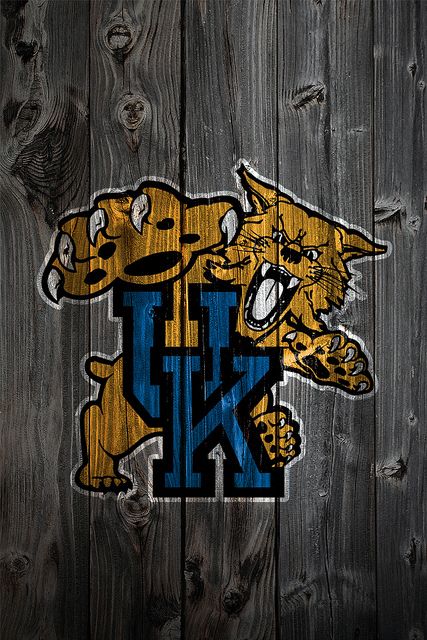 university of kentucky wildcat logo on wood iphonejpg