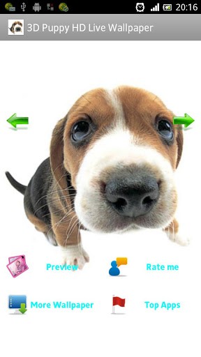 Bigger 3d Puppy HD Live Wallpaper For Android Screenshot