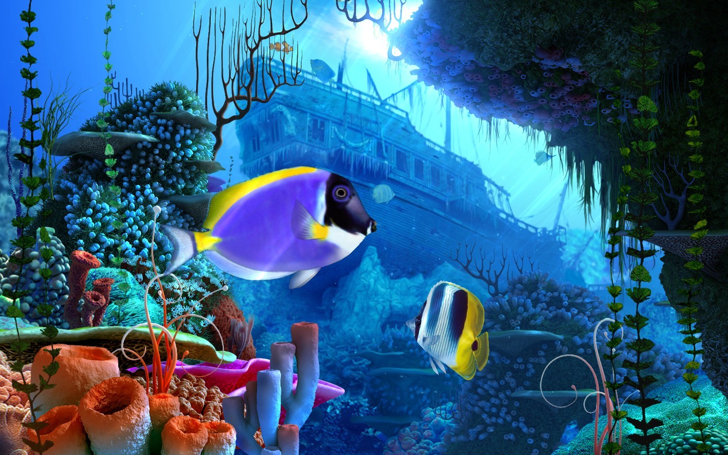 marine life aquarium screensaver