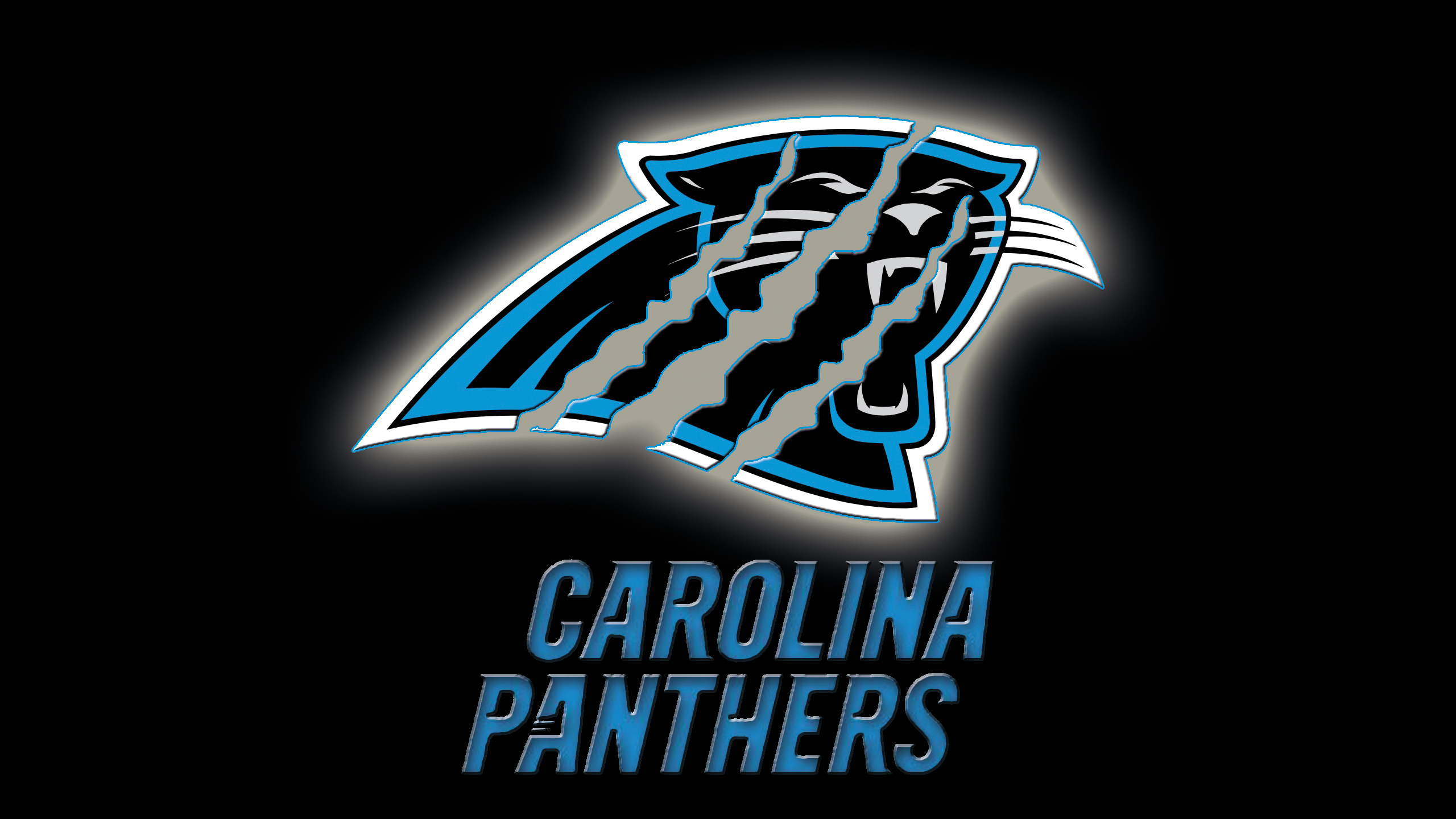 Carolina Panthers By Beaware8
