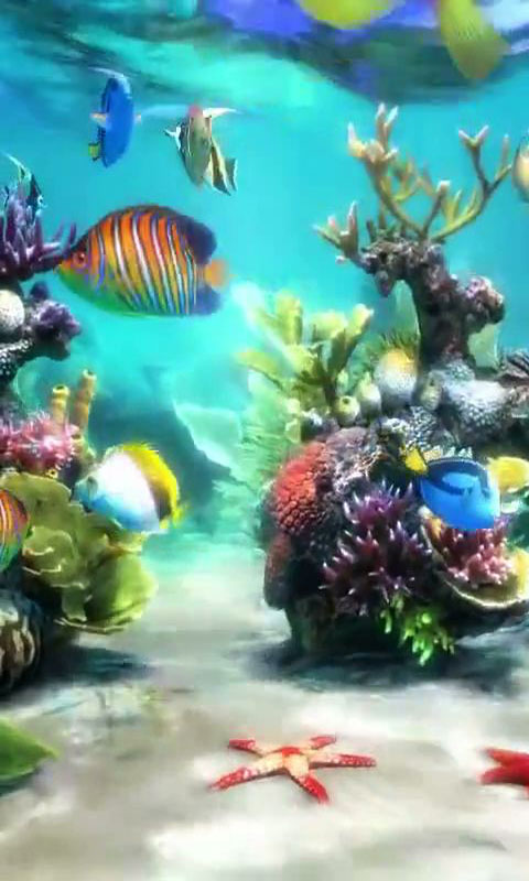 Aquarium Live Wallpaper For Your Android Phone