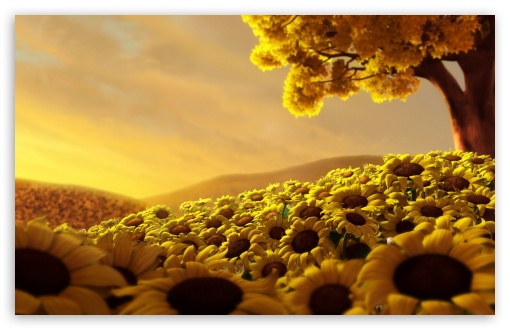 Sunflowers 3d HD Wallpaper For Standard Fullscreen Uxga Xga