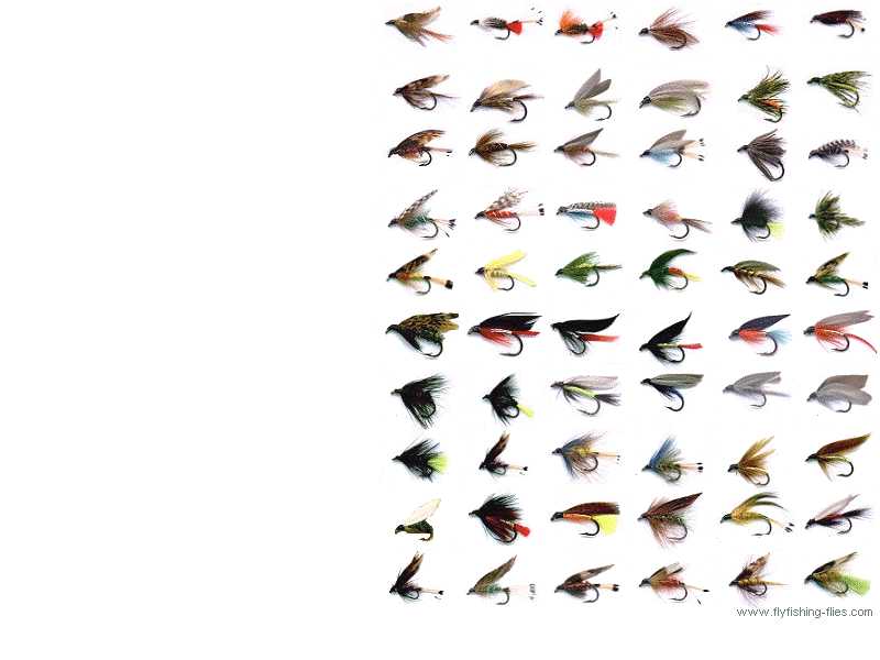 Fly Fishing Flies Puter Desktop Background Wallpaper