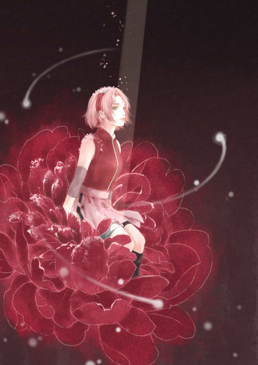 Haruno Sakura Wallpaper