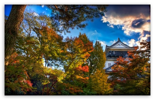 Japanese Castle Autumn HD Desktop Wallpaper High Definition