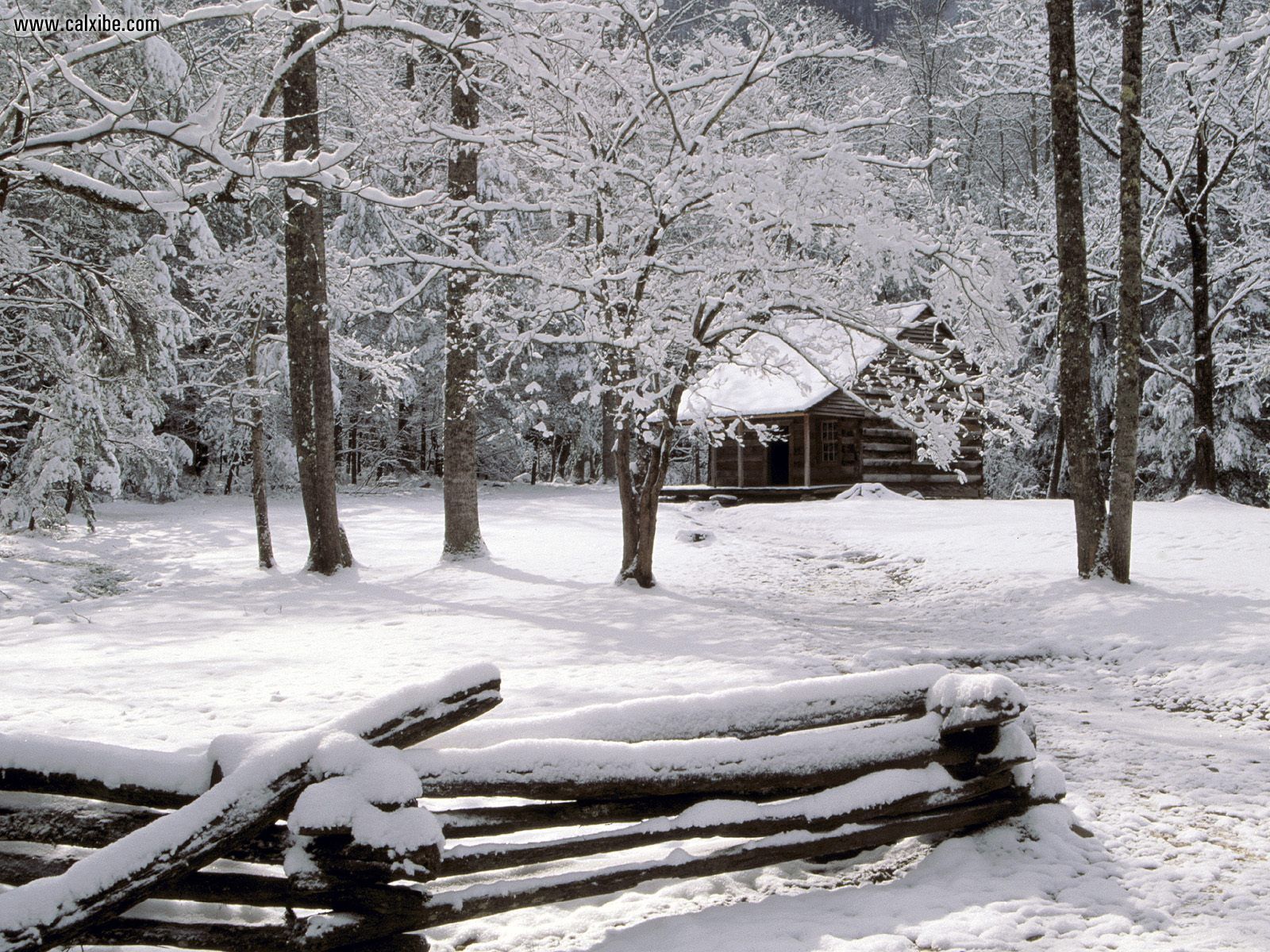 Carter Shields Cabinin Winter Great Smoky Mountains National Park