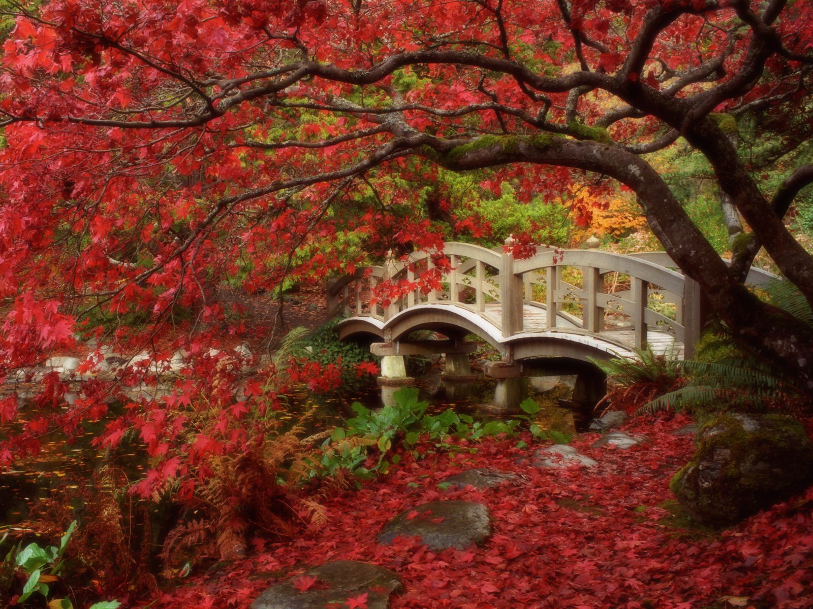 Japanese Garden British Columbia HD Wallpaper