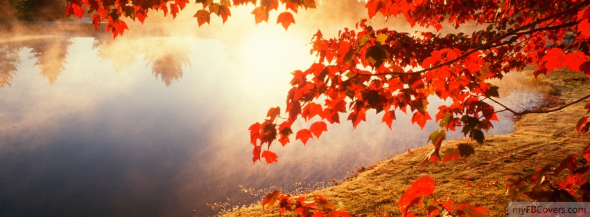 Autumn Cover Wallpaper Picture Gallery