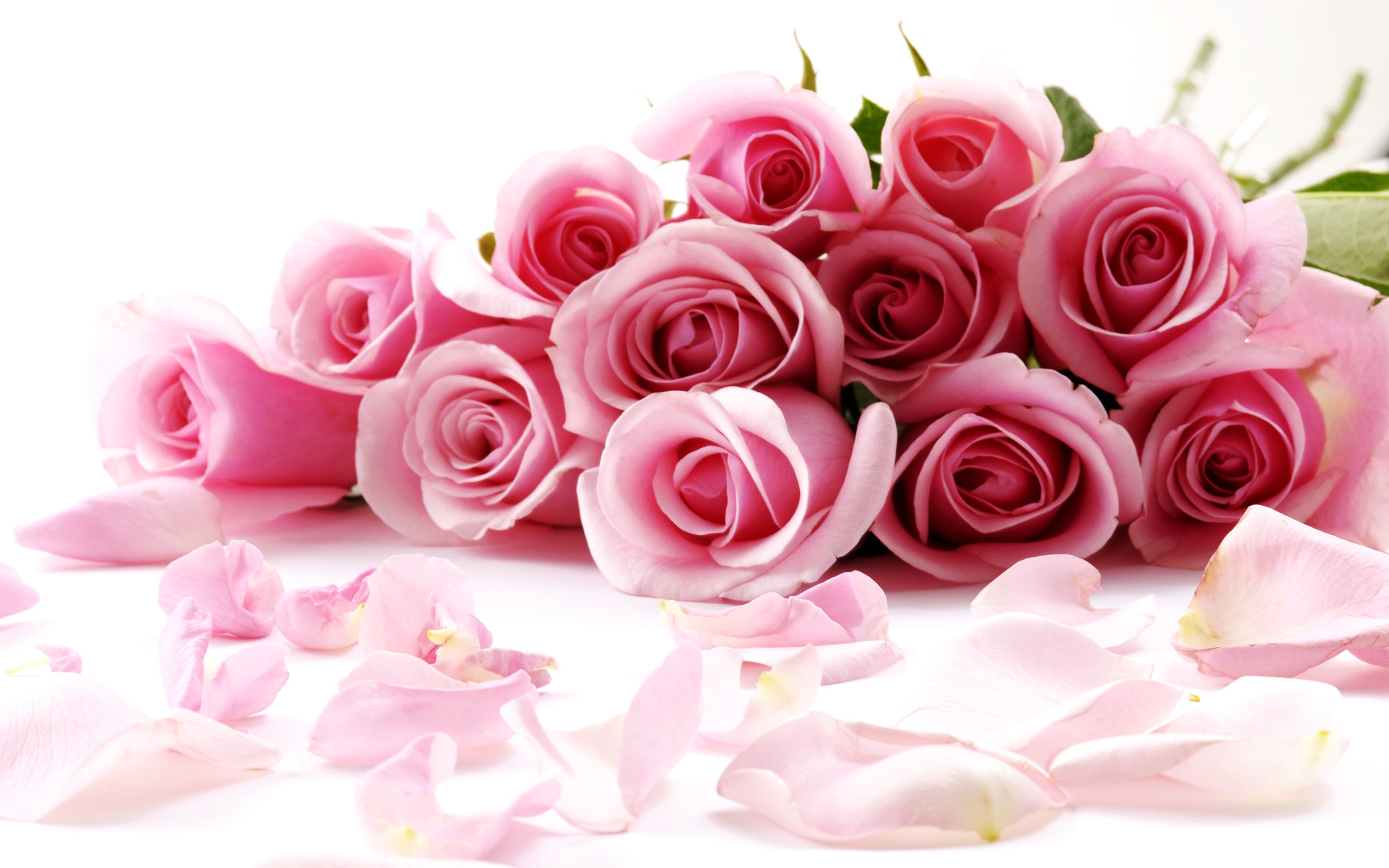 Awesome Roses Wallpaper