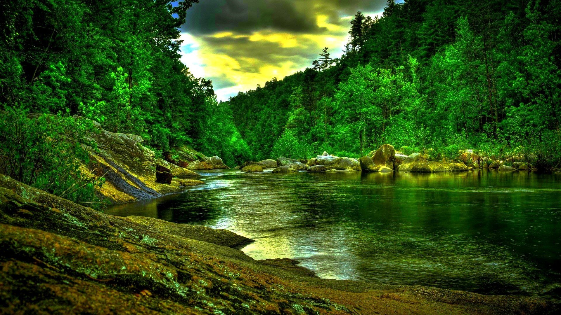Beautiful Green Forest River HDr HD Desktop