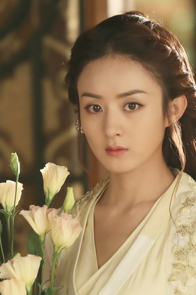 Zhao Liying Chinese Tv Series Princess Agents iPhone