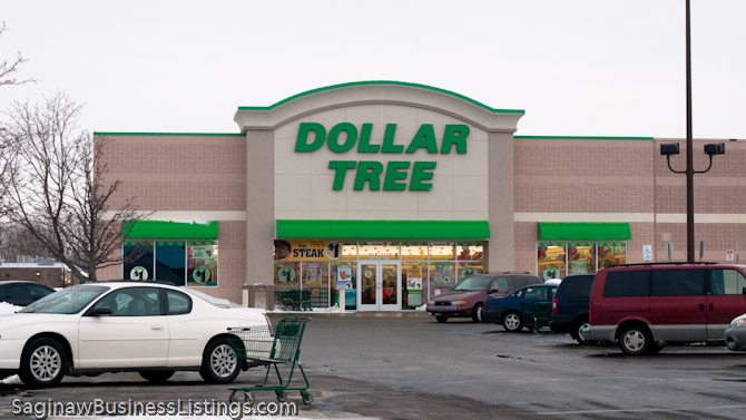 Dollar Tree Discount Store Saginaw