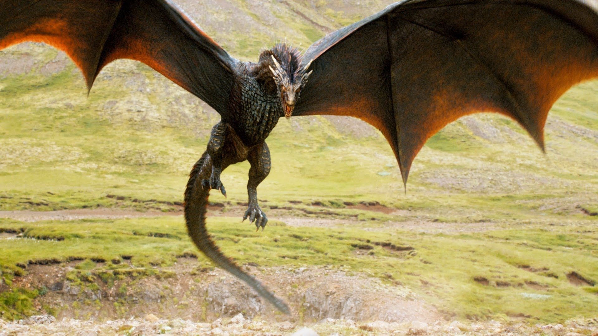 Game Of Thrones Dragon Wallpaper Desktop Background Flip