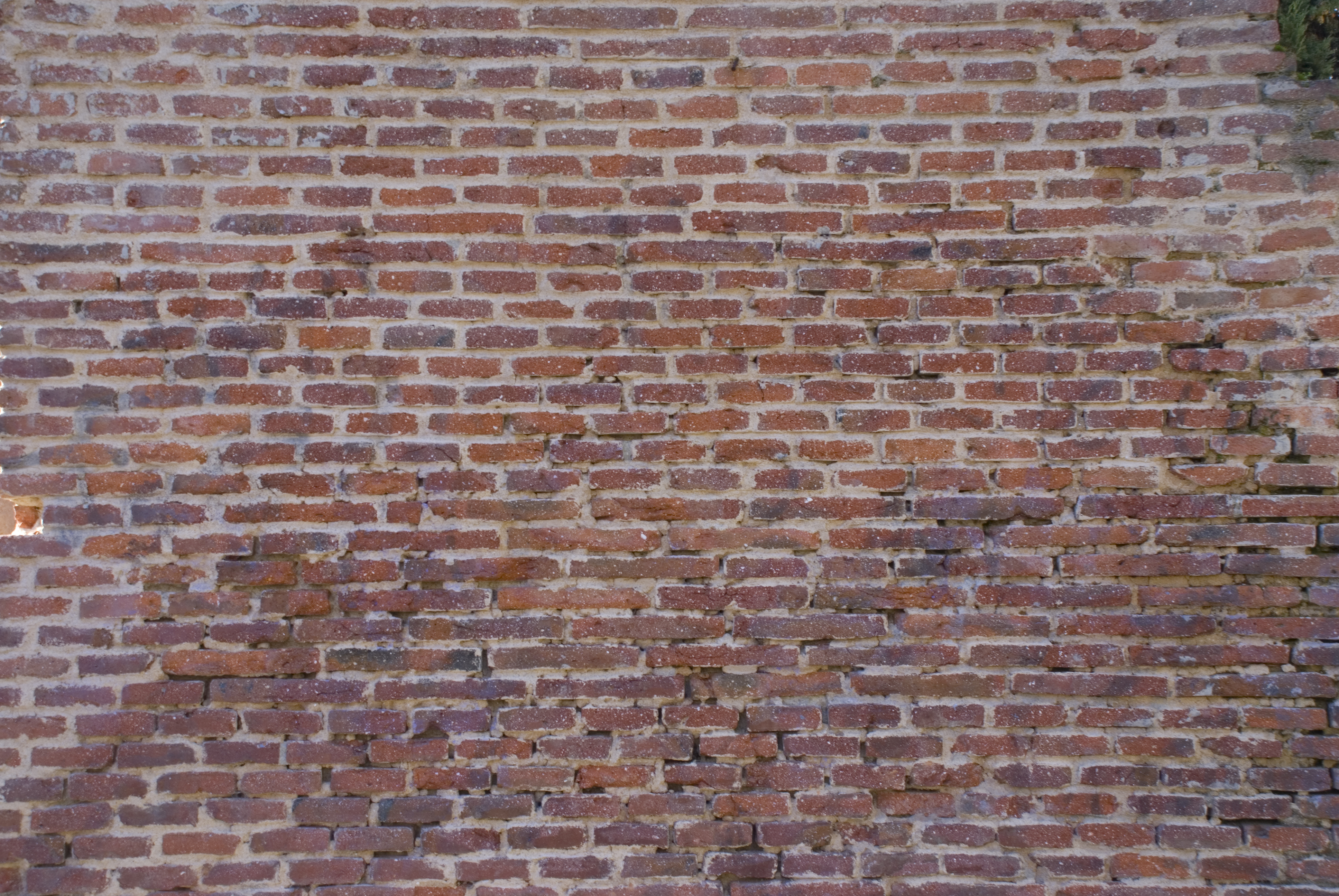 Old Brick Wall By Evelivesey