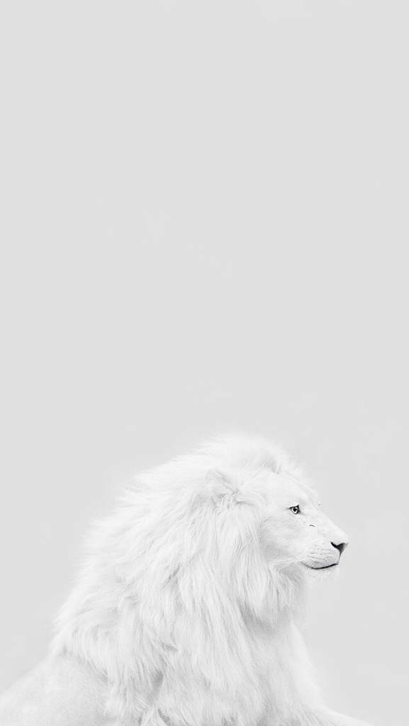 28+] White Lion iPhone Wallpapers - WallpaperSafari