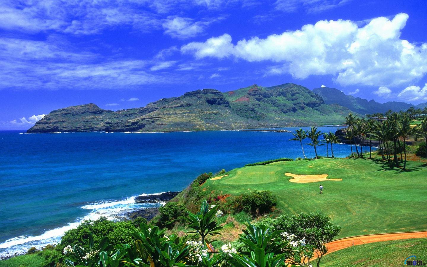 Wallpaper Golf Course In Hawaii X Widescreen