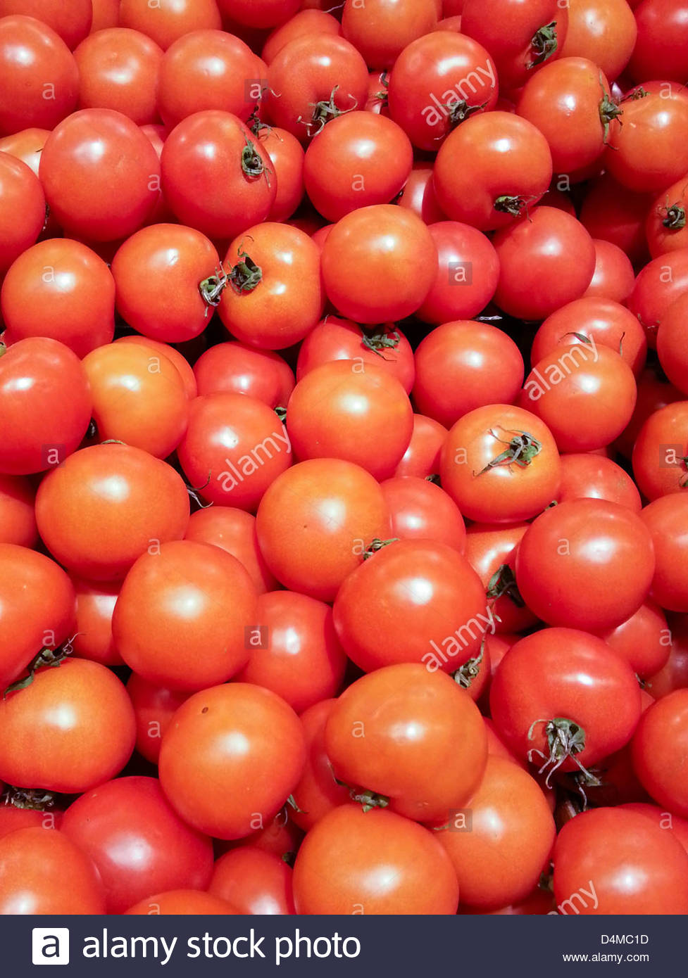 Tomato Background Stock Photo