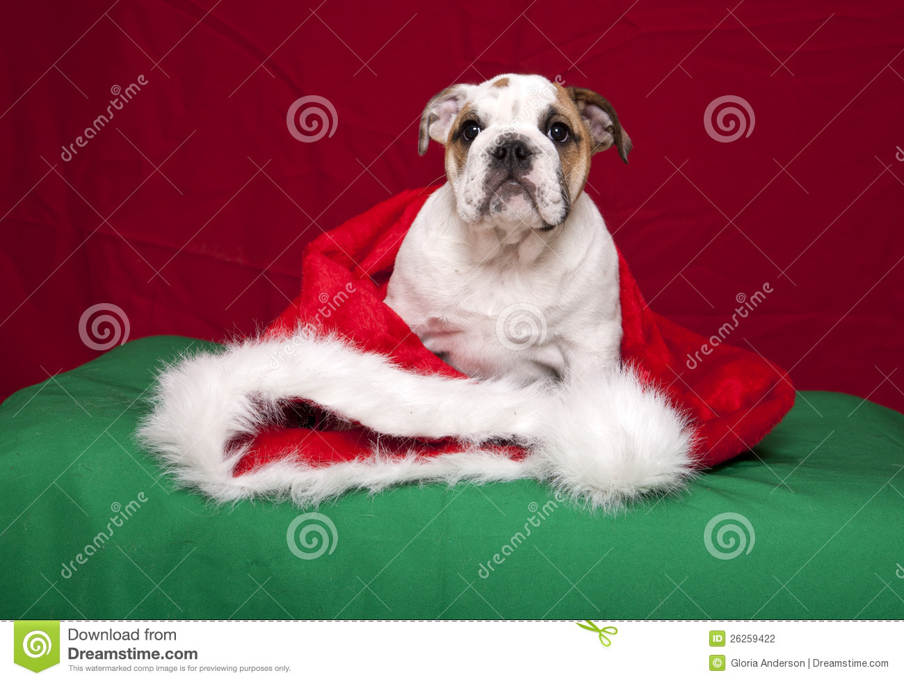 Bulldog Puppy Christmas Vintage Ceramic In Silly Dog English
