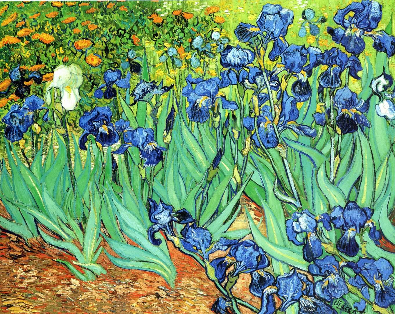 Irises   A post impressionist vincent van gogh art wallpaper picture
