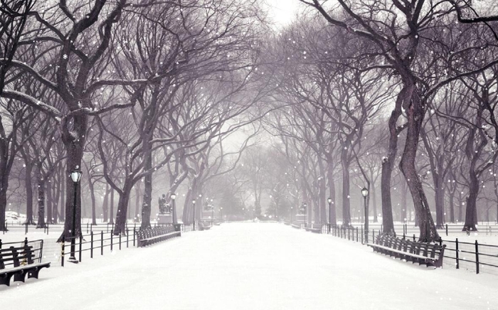 Winter Snow Animated Wallpapers multimedia gallery 700x436