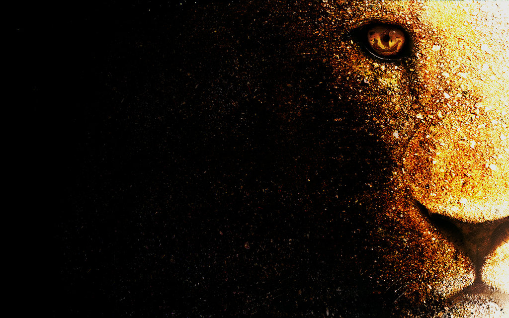 Lion Wallpaper Desktop By Mu6