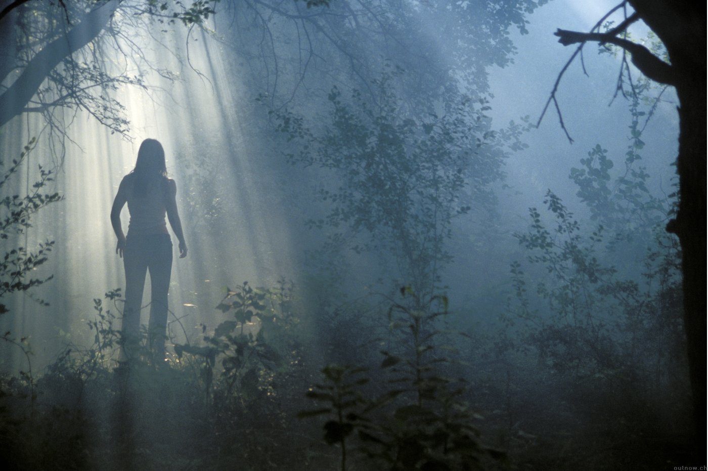 The Texas Chainsaw Massacre Series Image