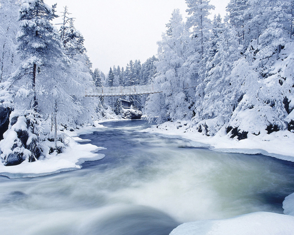Kuusamo Oulangan Winter Landscape Wallpaper Bridge Nature
