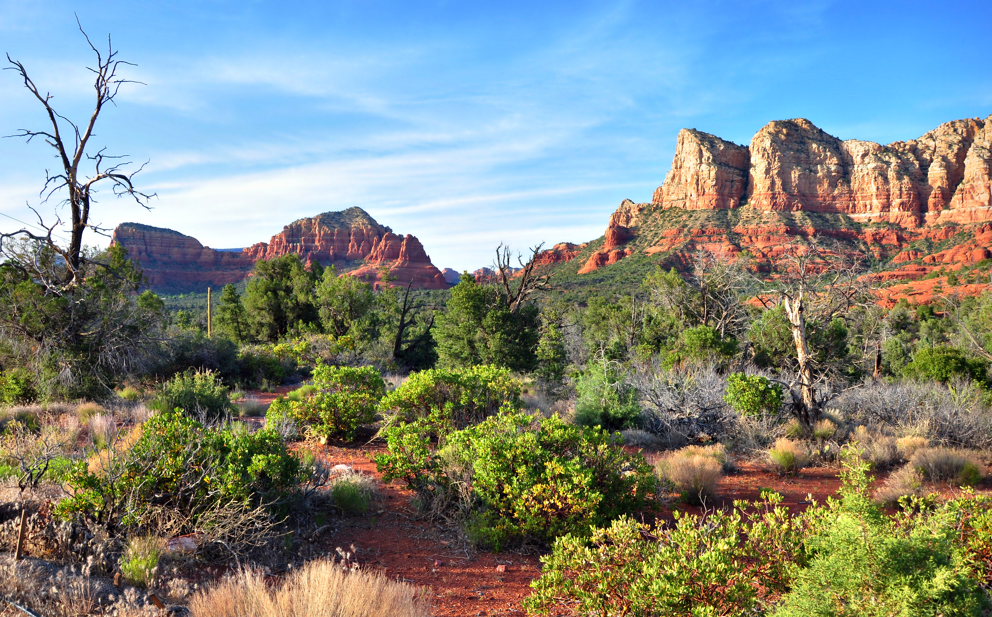 Trees Bushes Desert Sedona Arizona Wallpaper Photos Pictures