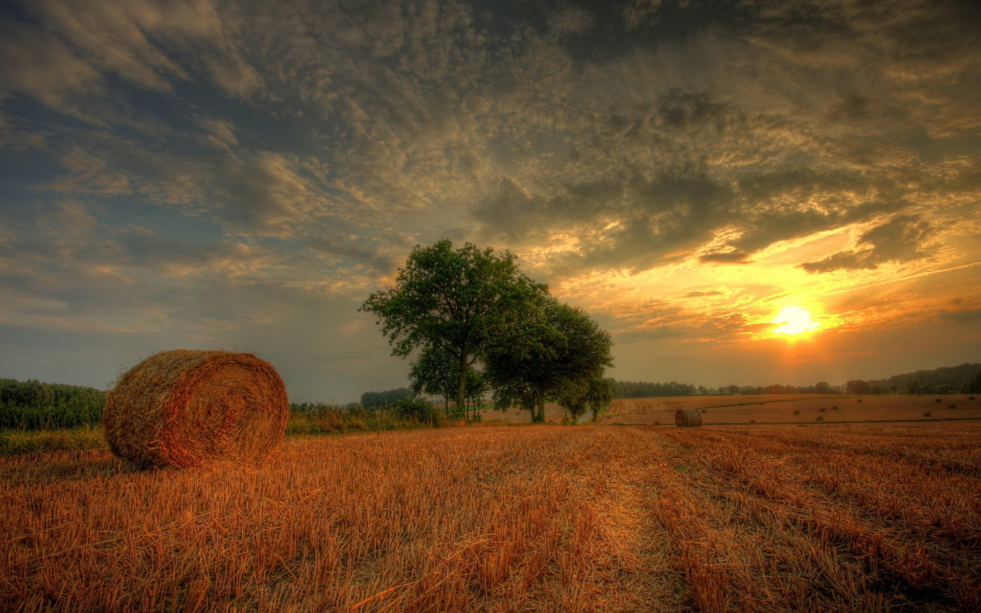Wallpaper Tree Sunset Clouds Field Hay Bales Of