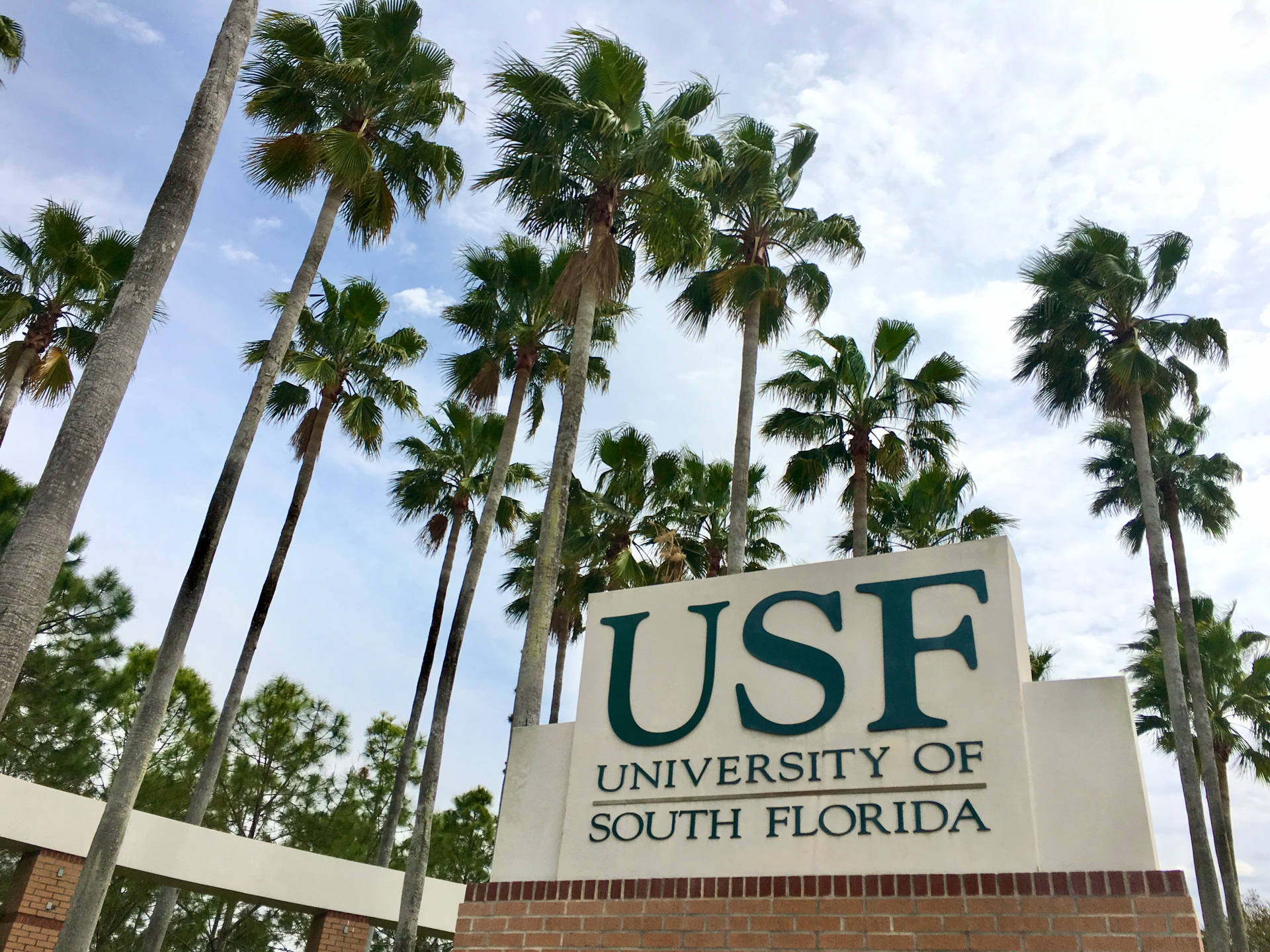 University Of South Florida Wallpaper