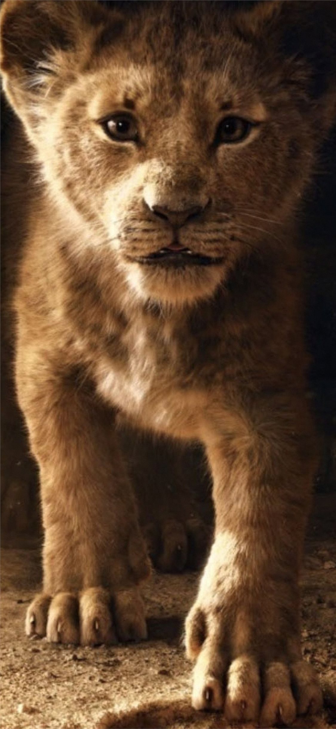 The Lion King Simba 4k iPhone X Wallpaper