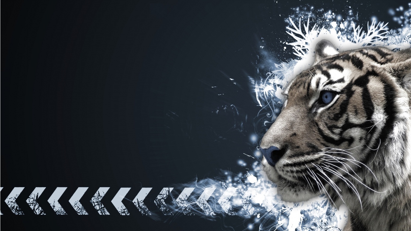 White Tiger Desktop HD Wallpaper