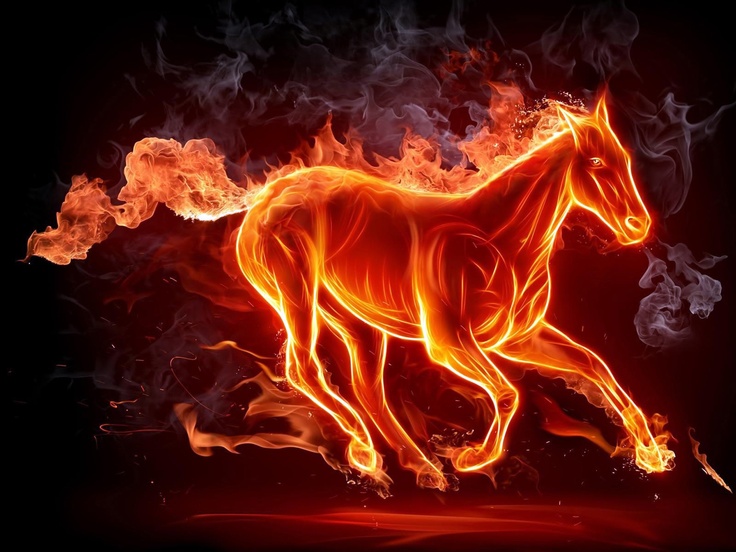 Denver Broncos Wallpaper Fiery Horse