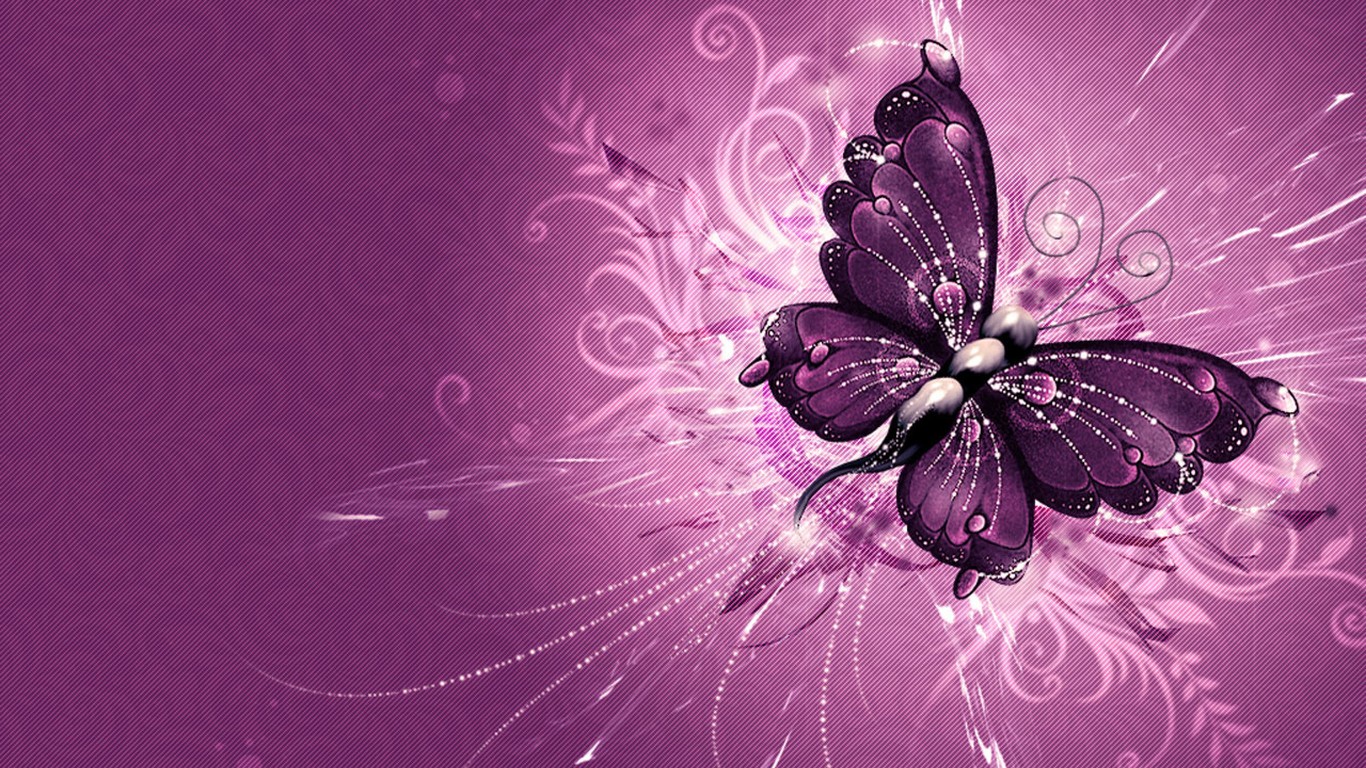 Wonderful Purple Wings Of A Butterfly HD Wallpaper