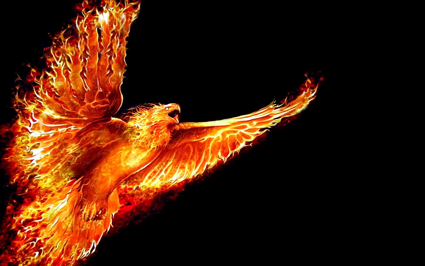 The Phoenix Rises On Ing Back And Moving Forward Cover Lay