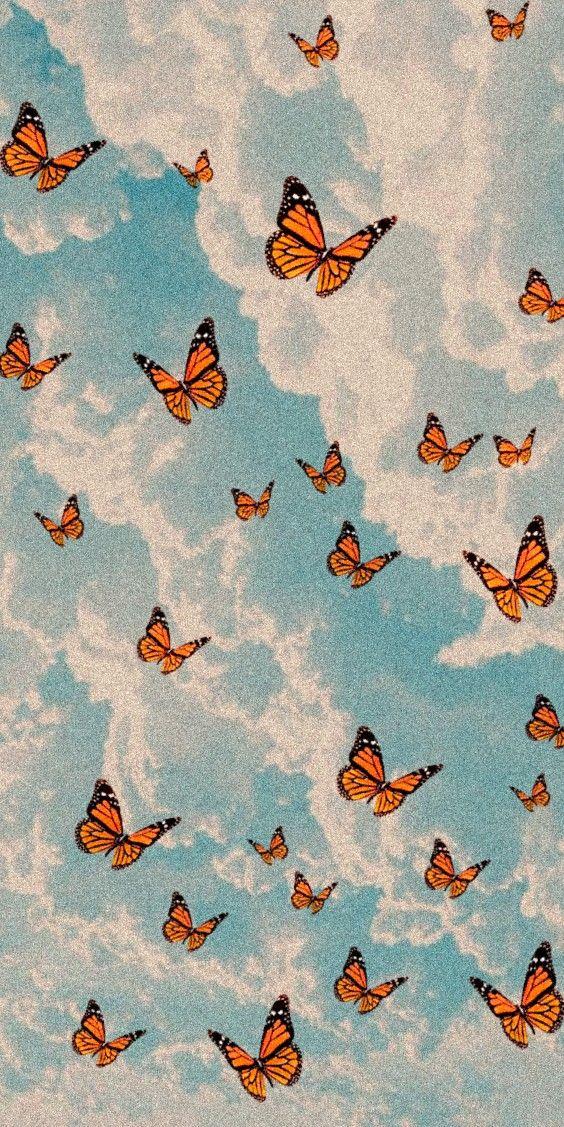 Fondo De Pantalla Mariposas Cute Mobile Wallpaper